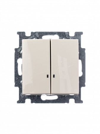 ABB BJB Basic 55 Беж Выключатель 2-клавишный с подсветкой