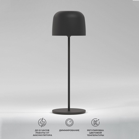 Светильник светодиодный настольный Bitty черный TL70260 Elektrostandard Bitty a069002