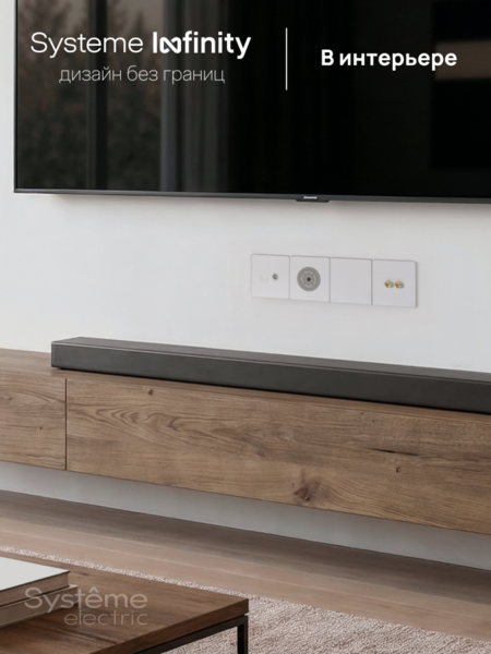 Systeme Electric Systeme Infinity Арктический лед Вывод кабельный