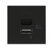 Donel USB зарядное устройство, 4.2A , Type A + C, 2 мод., черн. матовая (45х45мм), DUSB4200ANF