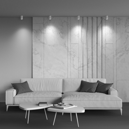 Потолочный светильник Technical C029CL-01-S-W Maytoni Zoom