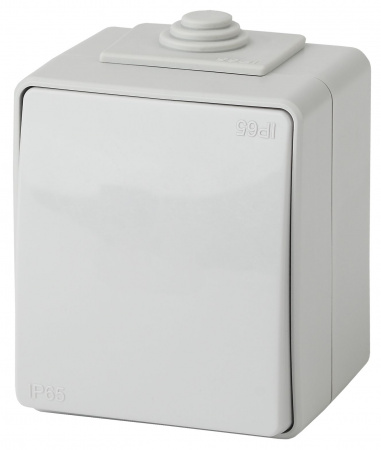 ЭРА 11-1601-03 Эксперт Серый Выключатель 1-кл ОУ IP65