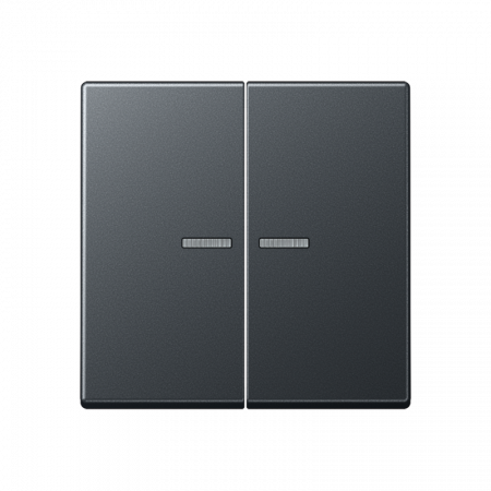 JUNG Матовый антрацит Клавиши для сдвоенных выключателей; термопласт; с окошком