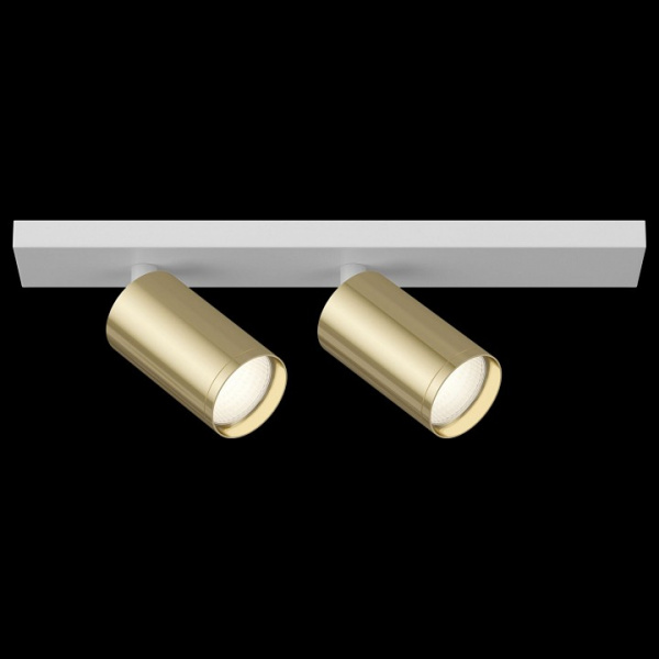 Потолочный светильник (Набор) C051CL-2WG(C051CL-02W(1шт.), TRA020-01G(2шт.)) Maytoni Focus S