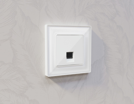 Лицевая панель ALFA (Белый глянец) для компьютерной/телефонной розетки RJ-45/RJ-11 QUANT AP1120