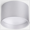 Накладной светодиодный светильник серебро 25123/LED Banti 13Вт 4200K Elektrostandard Banti a058848