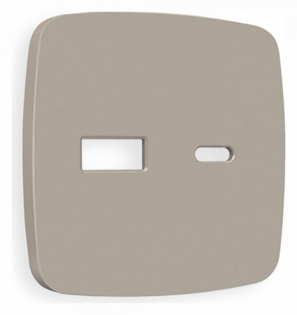 Лицевая панель OMEGA (Серо-бежевый матовый) для розетки 2USB A+C QUANT OP3710