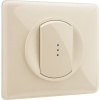 Legrand Celiane Мех выключателя 2 (1) мод