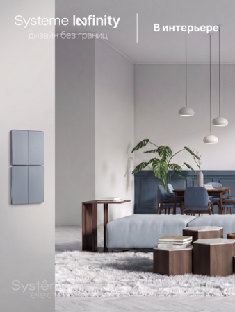 Systeme Electric Systeme Infinity Стальное небо Выключатель с самовозвратом 2-клавишный, 10А