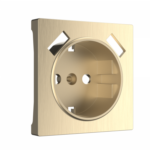 Накладка  для розетки USB (шампань рифленый) W1179510