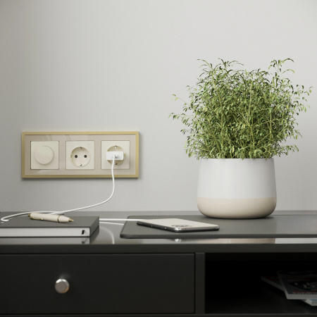 Рамка из металла на 3 поста Baguette айвори/латунь W0032851