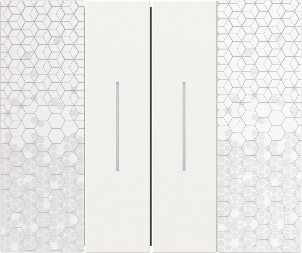 BT Living now Пиксель Рамка немецкий стандарт 2 мод