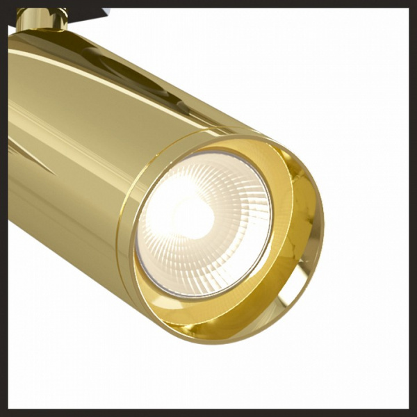 Трековый светильник TR004-1-GU10-G Maytoni Focus