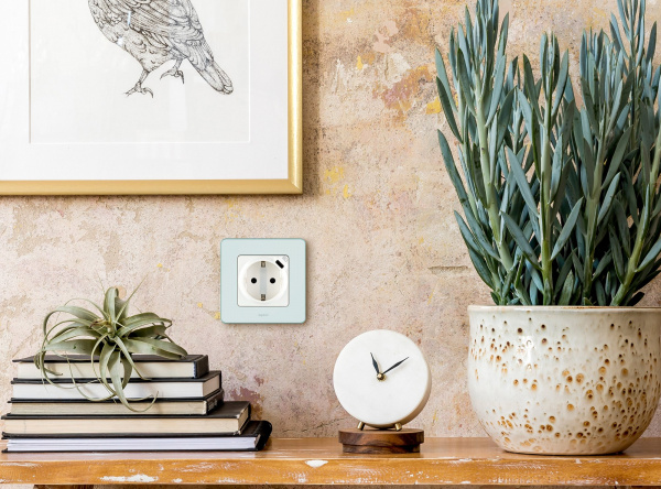 Legrand INSPIRIA Белый Розетка 2К+З немецкий стандарт 16А 250В со встроенным зарядным устройством USB C 1.5А 5В