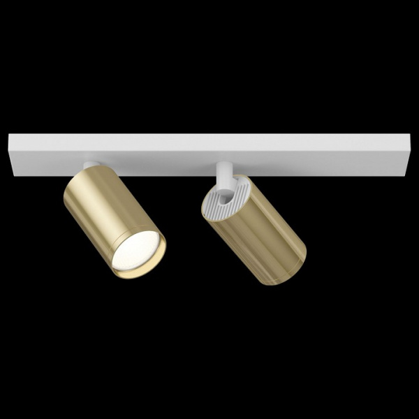Потолочный светильник (Набор) C051CL-2WG(C051CL-02W(1шт.), TRA020-01G(2шт.)) Maytoni Focus S