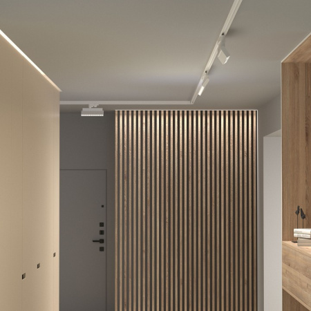 Garda Белый 20W 4200K (85025/01) трехфазный 85025/01 Elektrostandard Garda a057458