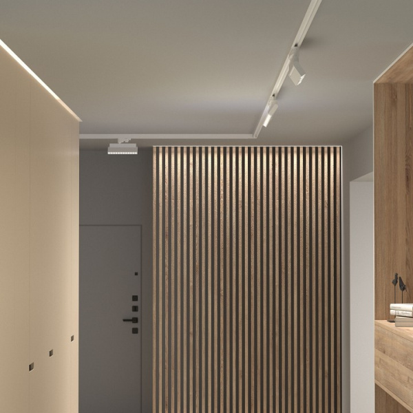 Garda Белый 20W 4200K (85025/01) трехфазный 85025/01 Elektrostandard Garda a057458