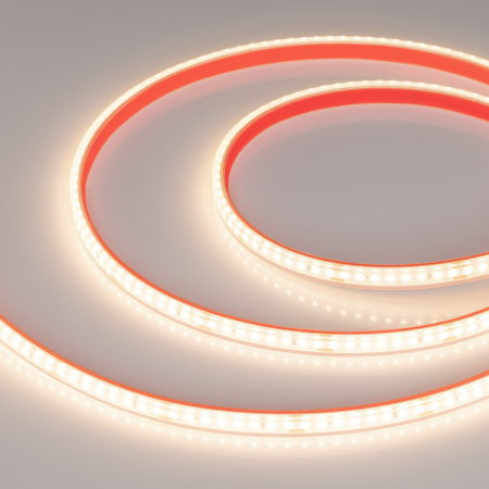 Arlight Лента герметичная DOT-PFS-X160-10mm 24V Warm3000 (12 W/m, IP68, 5m) (5 лет)