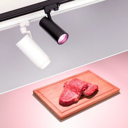 Arlight Светильник LGD-ZEUS-4TR-R100-30W Warm SP2900-Meat (WH, 20-60 deg, 230V) (IP20 Металл, 3 года)