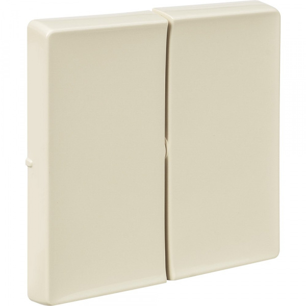 Legrand Valena LIFE Сл.кость Клавиша 2-ая